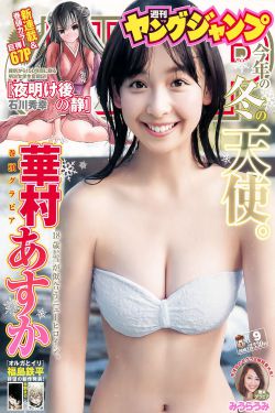 掌门女婿演员表